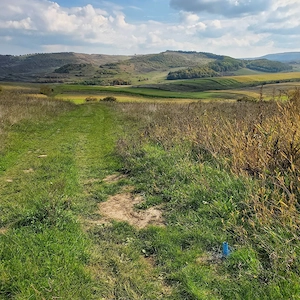 Vand teren intravilan in Deusu (com. Chinteni) - imagine 4