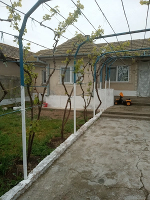 Casa la tara, jud Tulcea - imagine 3