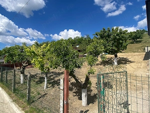 Teren de vânzare Muntenii de Jos 981 mp cu utilități și asfalt 