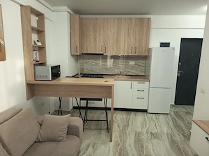 Inchiriere apartament 2 camere Pollux Residence - imagine 4