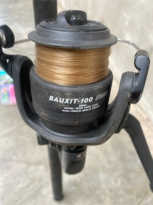 baț de spinning plus mulineta si in preț pestișori