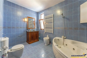 FILM! Castelariu: spectacol panoramic, locatie prestigioasa, exclusivist confort - imagine 20