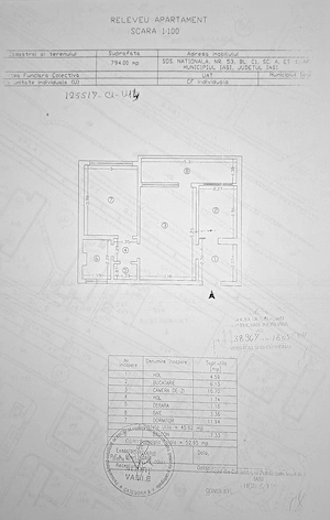 Apartament 2 camere complet renovat, Podu Roș   53 mp, etaj 1 10 - imagine 10