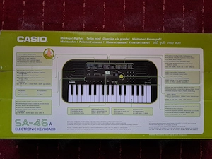 Orga electronica Casio