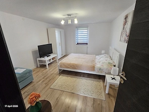 Casa de vanzare, 5 camere, 2 bai, 2 curti - imagine 7