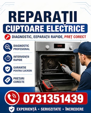 Reparații cuptoare electrice