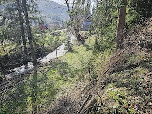 Teren intravilan ,extravilan Pojorâta-Bucovina  - imagine 3