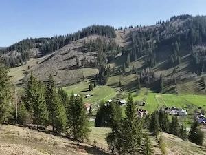 Teren intravilan ,extravilan Pojorâta-Bucovina  - imagine 4