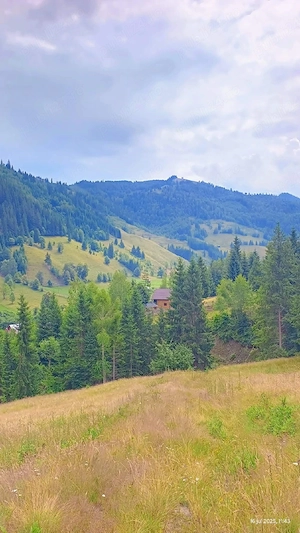 Teren intravilan ,extravilan Pojorâta-Bucovina  - imagine 5