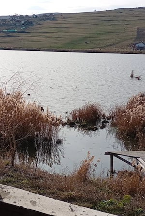 Vând Casă în Câmpenești Cluj ,lângă lacul Nr 3 - imagine 5