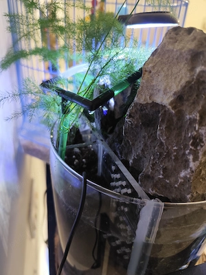 Acvaterariu Ecosistem complet echipat - imagine 5