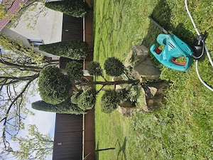 Amenajari gradina...intretinere,recomandari