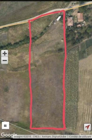 Proprietar închiriez teren în Borhanci, 7860 mp, front 45 ml - imagine 2