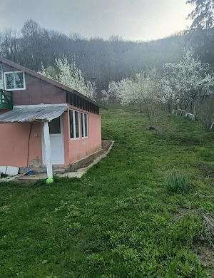 Vând teren in panta,la poala pădurii, cu priveliște