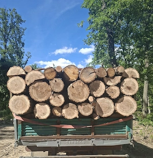 vând lemne de foc esență tare cer,fag,carpen,stejar cantitate garantata  transport gratuit  lemnele 