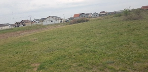 Vand teren în Rontău județu Bihor  1.000mp - imagine 4