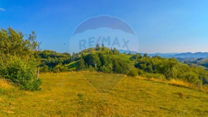 Teren Holbav - Holbav 6.014 mp Extravilan - imagine 8