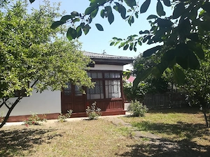 vand casa batraneasca in Comuna Costești,  judetul Iasi - imagine 4