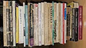 Lot 95+ Cărți Vintage & Colecție   Romane Polițiste, Thriller, Spiritualitate & Hobby