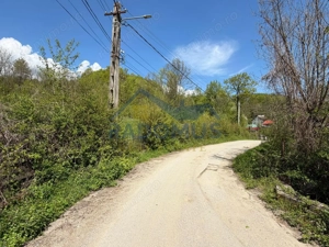 Teren Intravilan  – Provița de Jos | 1.939 mp | Curent electric - imagine 4