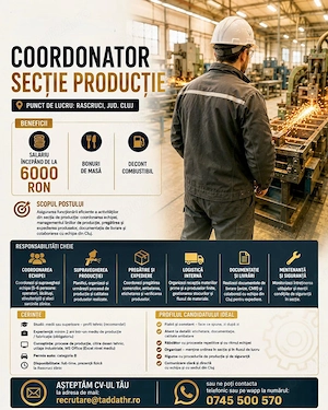 Coordonator sectie productie Rascruci