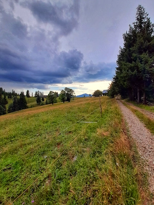 Teren intravilan, 25 arii, Piatra-Fantanele,1200 pe arie