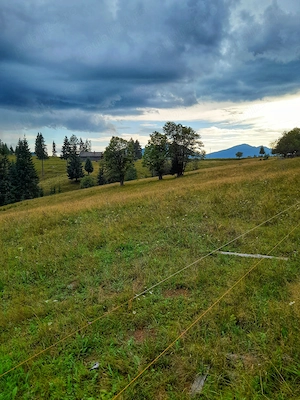 Teren intravilan, 25 arii, Piatra-Fantanele,1200 pe arie - imagine 4