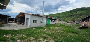 Teren + hale industriale 8785mp + casă–Oportunitate investiție / producție – - imagine 27