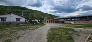 Teren + hale industriale 8785mp + casă–Oportunitate investiție / producție – - imagine 31