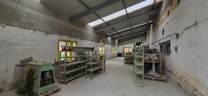 Teren + hale industriale 8785mp + casă–Oportunitate investiție / producție – - imagine 18