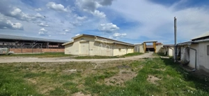 Teren + hale industriale 8785mp + casă–Oportunitate investiție / producție – - imagine 26