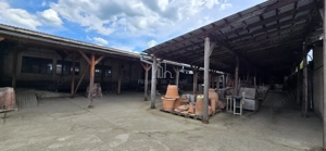 Teren + hale industriale 8785mp + casă–Oportunitate investiție / producție – - imagine 29