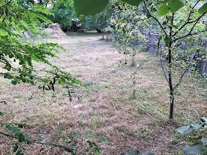 Teren intravilan 1400 mp + Casă bătrânească, dublă deschidere - imagine 5