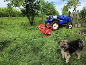 Vand Tractor BizonT20 4x4 + plug 2cormane si freza1,25m pret 19.500lei negociabil - imagine 5