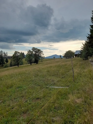 Teren intravilan, 25 arii, Piatra-Fantanele,1200 pe arie - imagine 5