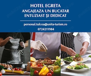 Angajam Ajutor de Ospatar in Tulcea