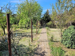 Casa Urziceni de vanzare  - imagine 10