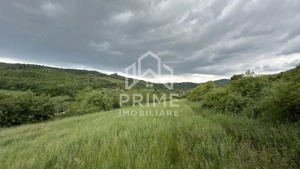 Teren extravilan | 4000 mp | zona Ampoita - imagine 2