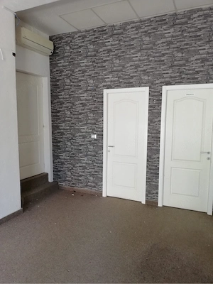 Propritar, spatiu comercial pe bulevard - imagine 5