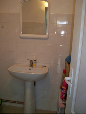 Propritar, spatiu comercial pe bulevard - imagine 4