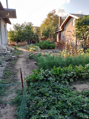 Casa de vanzare zona Sincai Eforie Nord - imagine 4