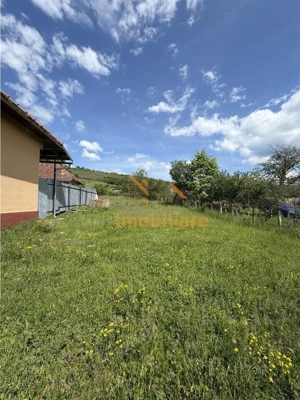 TEREN INTRAVILAN   EXTRAVILAN | DE VANZARE | 1200 MP | ROSIA | BIHOR | - imagine 5