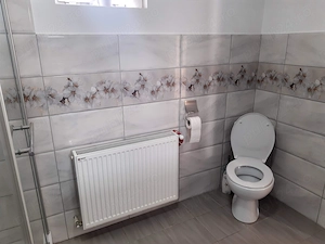 Casa + Afacere de vânzare - Corbeni Arges - imagine 8