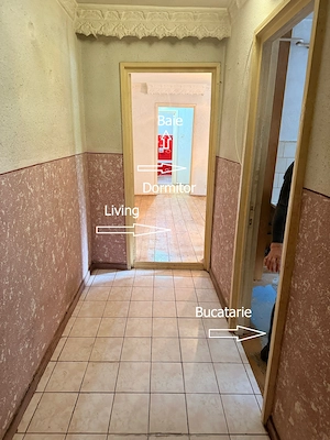 Apartament 2 camere, parter, G Enescu, ideal pentru birouri - imagine 4