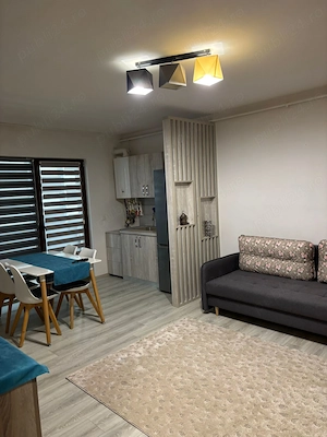De închiriat apt 2 camere Damilla Ford  - imagine 9