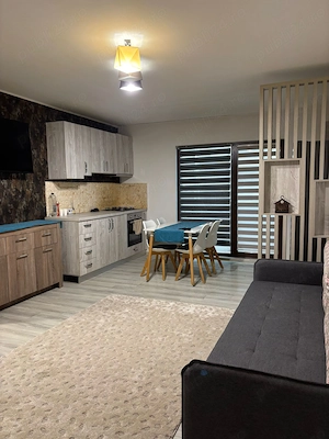 De închiriat apt 2 camere Damilla Ford 