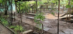 Zona stadion, casa renovabila,  teren 205 mp