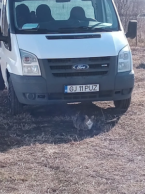 Camioneta  Ford Transit  - imagine 5