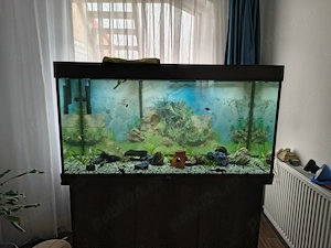 Acvariu 350l