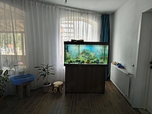 Acvariu 350l - imagine 2